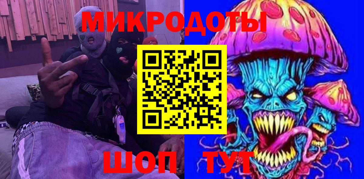 Псилоцибиновые грибы Psilocybe Людиново