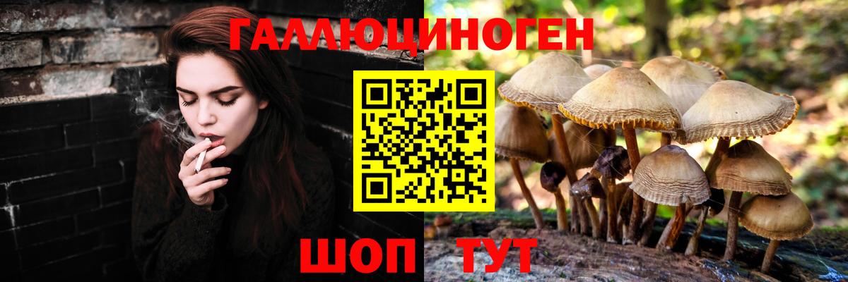 где купить   Галлюциногенные грибы мицелий  Вход с VPN  Псилоцибиновые грибы Psilocybe  Людиново 